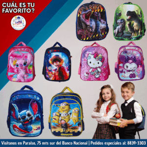 Bolsos escolares surtido