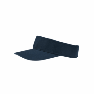 Visera